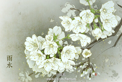 漂亮的二十四节气插画——绘师：墦索