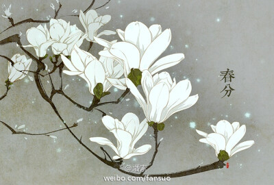 漂亮的二十四节气插画——绘师：墦索