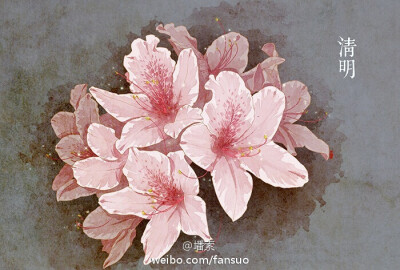 漂亮的二十四节气插画——绘师：墦索