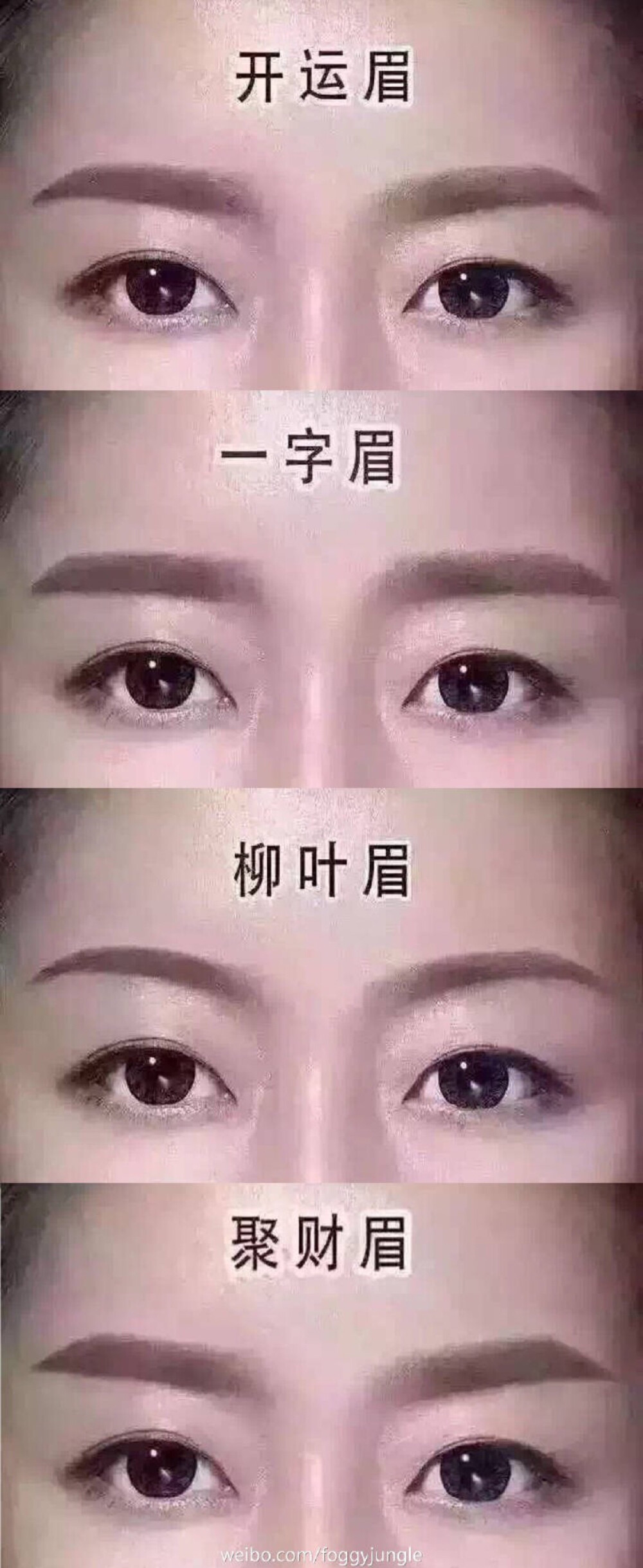 各种眉毛。