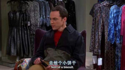 《The Big Bang Theory》Sheldon