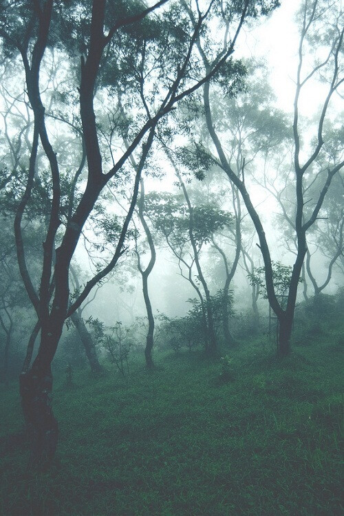 唯美 小清新 治愈 大气磅礴 摄影 人物 植物 怀旧 封面 风景