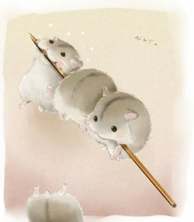萌萌哒的小仓鼠