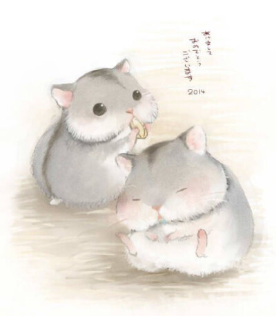 萌萌哒的小仓鼠