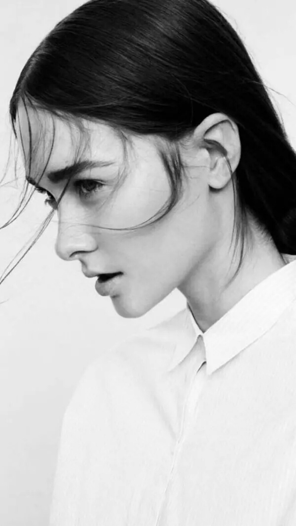 失望到一种地步的时候，会开出一朵花，这种花的名字叫无所谓