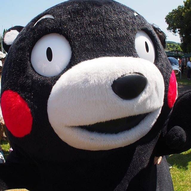 熊本熊