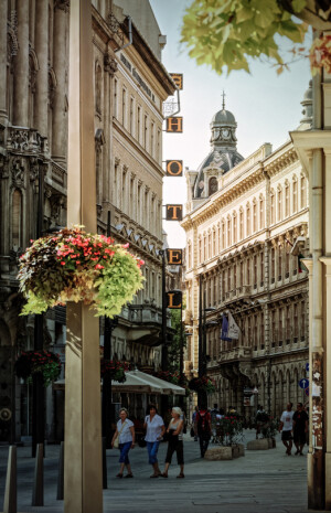 Budapest, Hungary(by Artem Novikov)。匈牙利布达佩斯。布达佩斯有“多瑙明珠”的美誉，被联合国教科文组织列为珍贵的世界遗产之一，曾经被法国人评为“世界上最安静的首都”。登上雄踞在多瑙河畔的盖莱特山，布达佩斯景色一览无余。河西是布达，平缓有丘陵蜿蜓起伏，喀尔巴阡山余脉在这里骤然结束；河东是佩斯，一望无垠的匈牙利大平原在这里发端，一直向东南伸展到匈罗、匈南边境。在布达佩斯每一个空气分子都向你诉说着爱上它的理由。多瑙河上的链子桥牵起的不只是布达与佩斯，也是你牵起的爱人之手，这是最适合漫步的地方。这座城市还曾出现在众多的电影与广告之中。