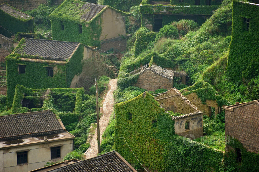 一个迷雾缭绕的海岛，一个无人居住的荒村，一个绿野仙踪的梦境，谁来与我相遇。在这个位于浙江舟山嵊泗嵊山岛后陀湾的地方，村落荒芜，许多无人居住的房屋逐渐被大自然侵蚀，布满爬墙虎，宛如绿色童话世界。摄影：青简