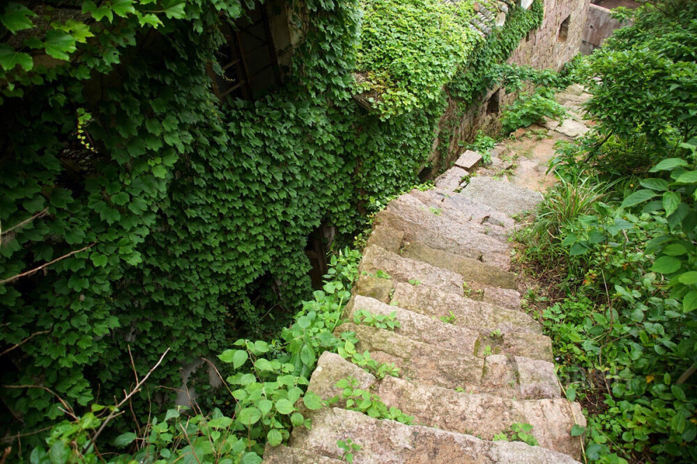 一个迷雾缭绕的海岛，一个无人居住的荒村，一个绿野仙踪的梦境，谁来与我相遇。在这个位于浙江舟山嵊泗嵊山岛后陀湾的地方，村落荒芜，许多无人居住的房屋逐渐被大自然侵蚀，布满爬墙虎，宛如绿色童话世界。摄影：青简