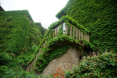 一个迷雾缭绕的海岛，一个无人居住的荒村，一个绿野仙踪的梦境，谁来与我相遇。在这个位于浙江舟山嵊泗嵊山岛后陀湾的地方，村落荒芜，许多无人居住的房屋逐渐被大自然侵蚀，布满爬墙虎，宛如绿色童话世界。摄影：青…