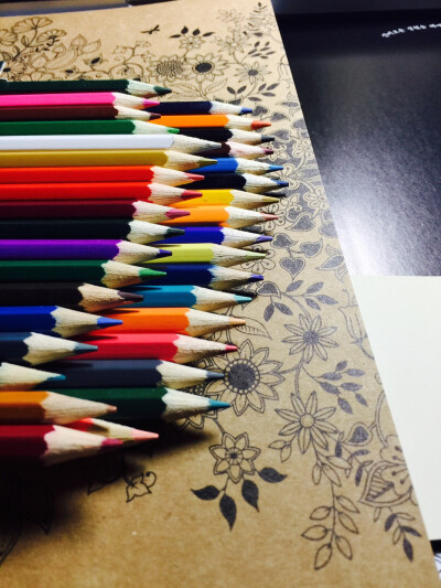 36色彩铅，如同生活中发生的未知有知的事，但生活的颜色，远远多于这数字。趁年轻，出去走走…