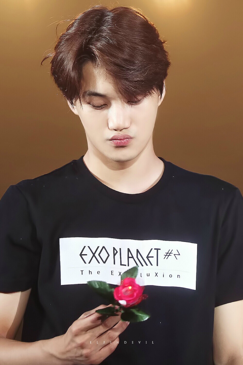 EXO Kai 金钟仁