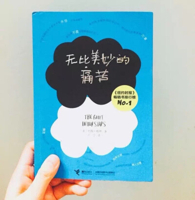 无比美妙的痛苦#种草书单#