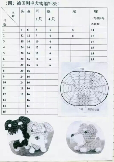 狗狗图解