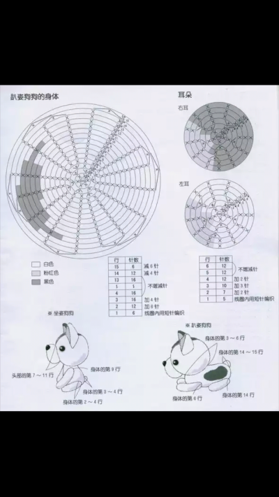 狗狗图解