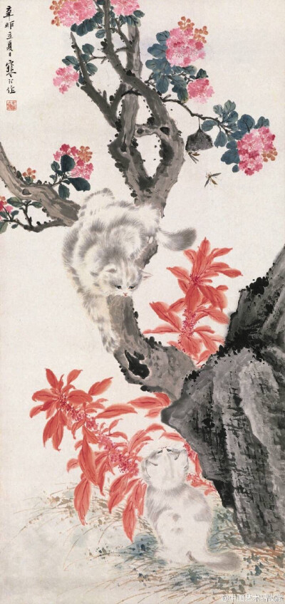 #海上画派#【 江寒汀 《双猫图》 】立轴，纸本设色，106×50cm，1951年作。 江寒汀（1903-1963），擅长花鸟画，尤以描绘各类禽鸟著称于世。他的绘画内师传统，外师造化，广泛地从传统中吸取养料。曾认真研究历代花鸟…