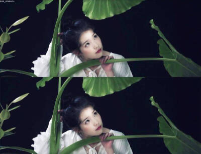 IU.李知恩.四辑mini.