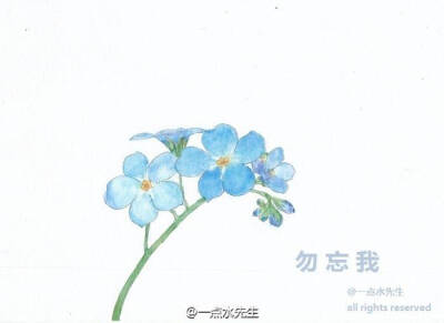 记住我的好，或者，记得我就好。