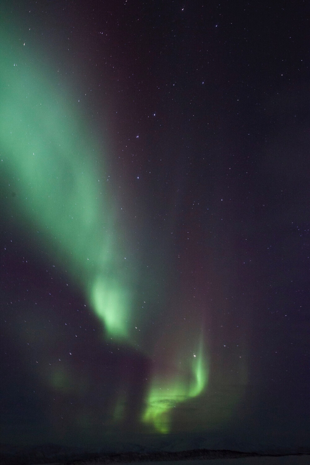 Aurora 2015