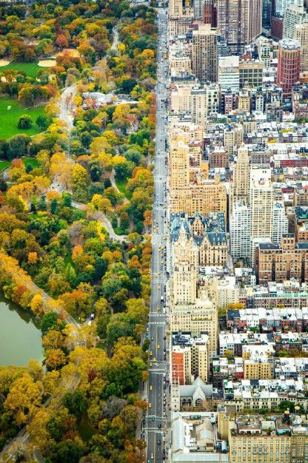 纽约秋天的第五大道，一边是纽约高耸的建筑，一边是秋色浓染的中央公园。（via：TedNYC）