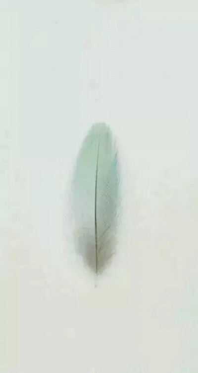 女头像 欧美 清新 美图 森女 收藏 人像 摄影 壁纸创意 粉我啦～