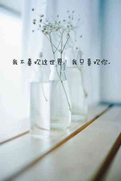 壁纸 满天星 文字