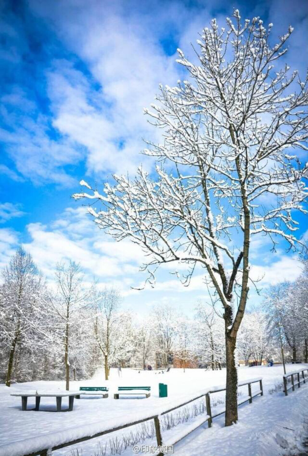 雪景