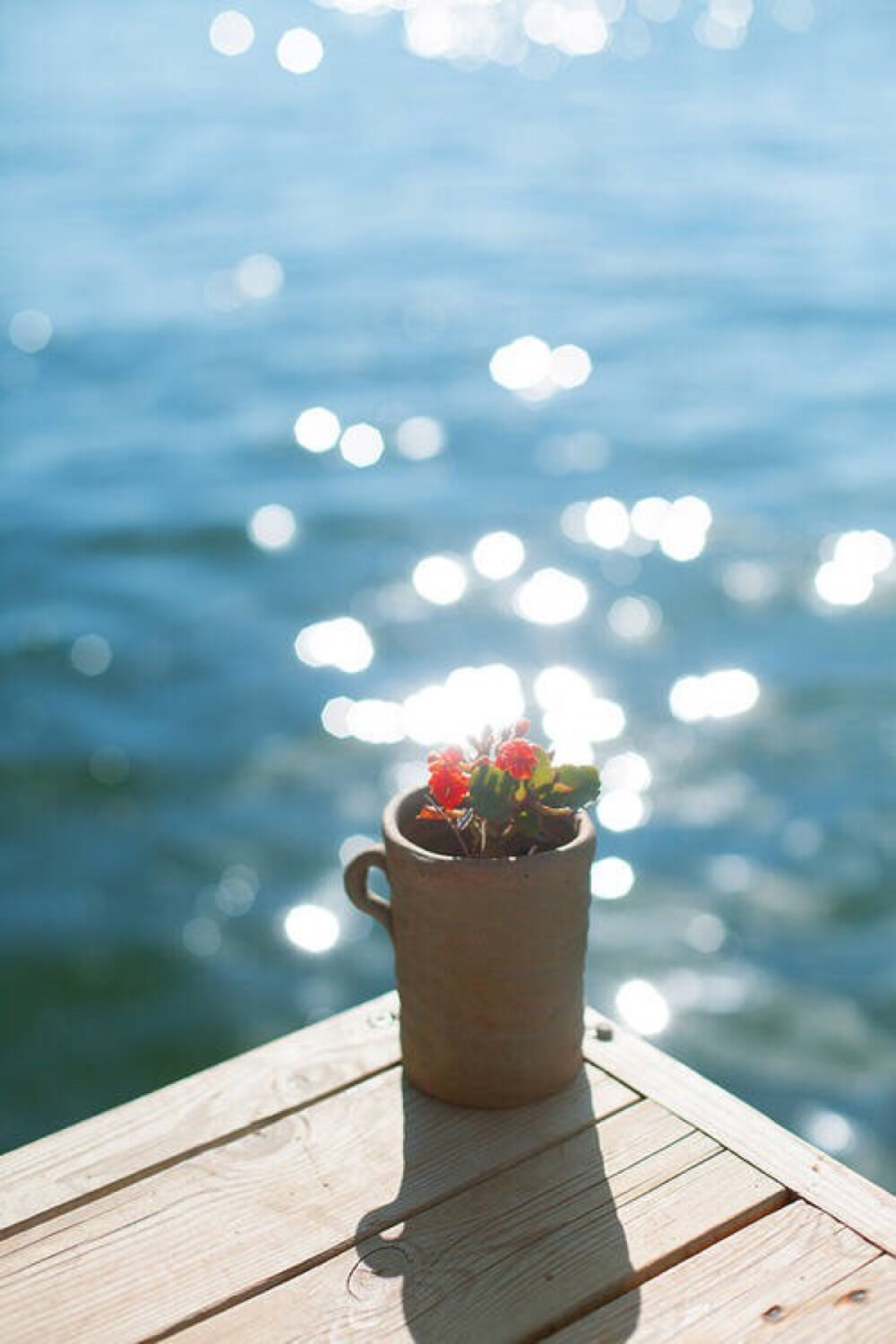 阳光- 堆糖,美图壁纸兴趣社区