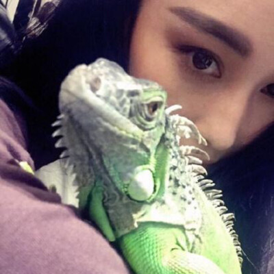 上帝创造了星期，对你施了咒语，让你星期一有顺利，星期二有和气，星期三有平安，星期四有惊喜，星期五有梦想，星期六有好运，星期天有美丽！