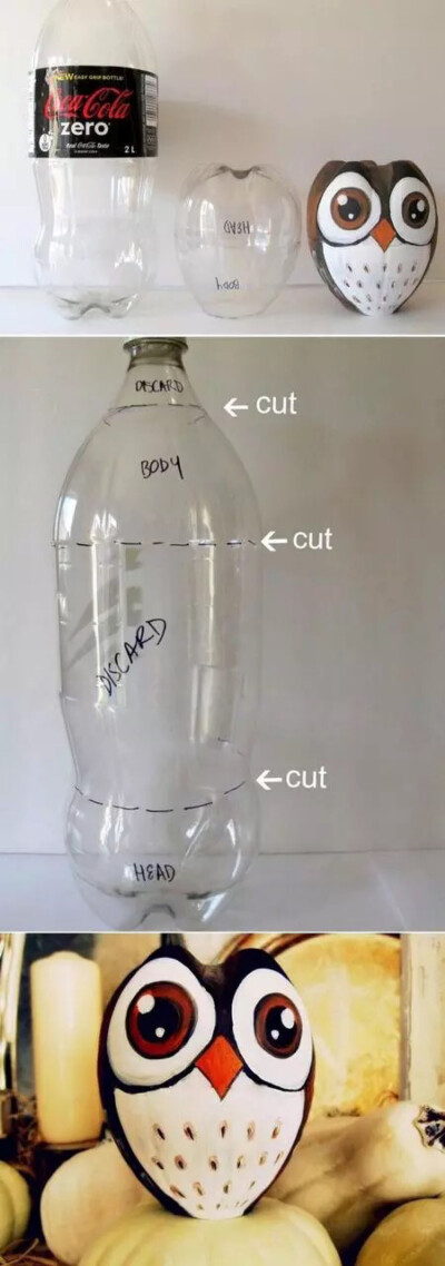 塑料瓶变可爱的猫头鹰