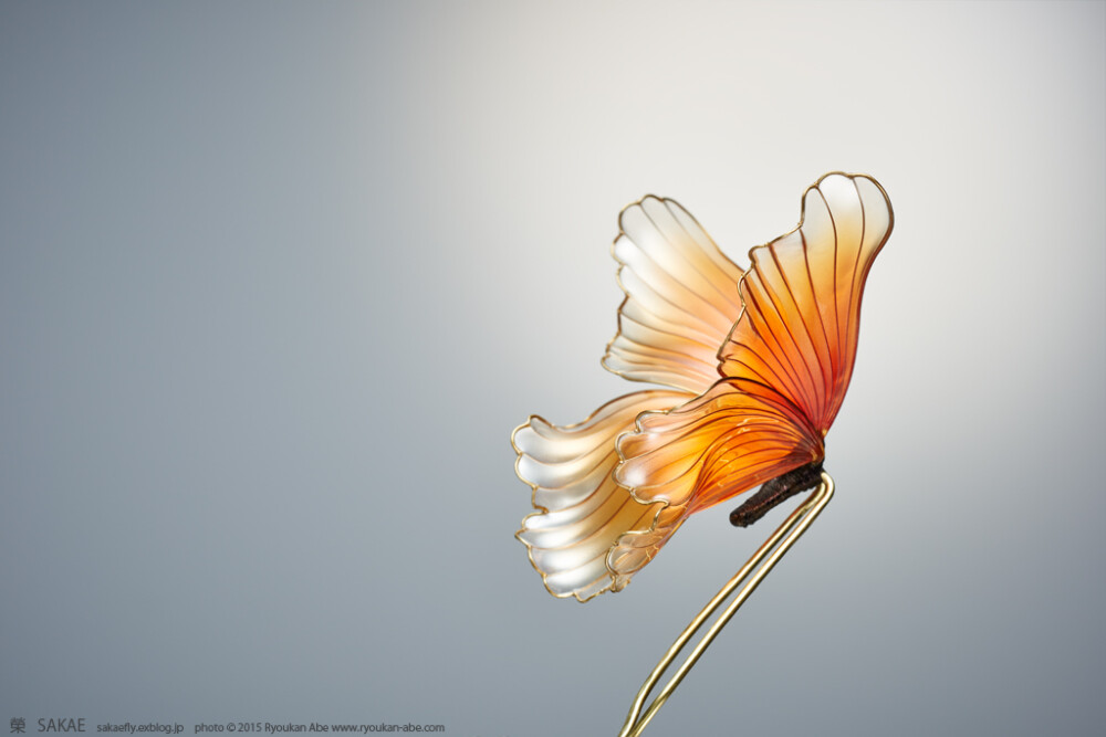 2015 蝶 簪【 金魚蝶 】Goldfish Butterfly 01