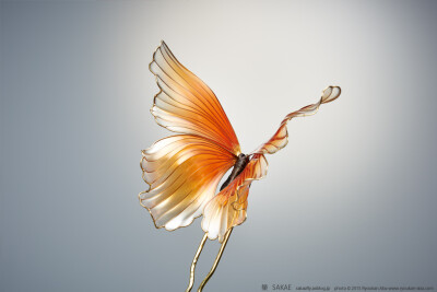 2015 蝶 簪【 金魚蝶 】Goldfish Butterfly 02