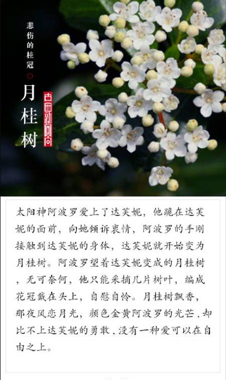 泪纵能乾终有迹，语多难寄反无词