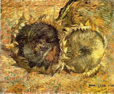 2，两朵剪下的向日葵 Two Cut Sunflowers 布面油画 50.0 x 60.0 cm 巴黎: 1887年8-9月 伯尔尼: 伯尔尼艺术博物馆 F 376, JH 1331（巴黎: 1887年8-9月）