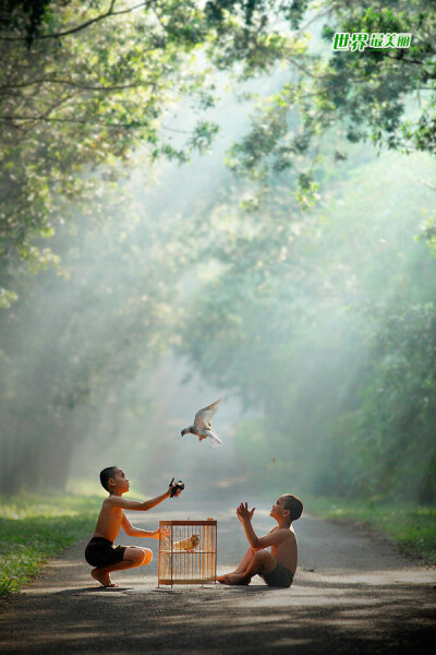 〔 摄影师 ' Dewan Irawan 〕.柔和的光线轻轻穿过氤氲的空气，从树叶间洒下来...