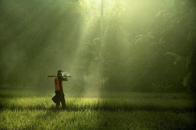 〔 摄影师 ' Dewan Irawan 〕.静谧的原野，扛着锄头的大叔缓缓走过晨光，阳光筛过林间，倾注了一地的碎影流光。