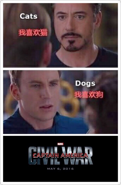 美国队长3:内战的真正原因 Captain America: Civil War 美队 钢铁侠 猫狗大战