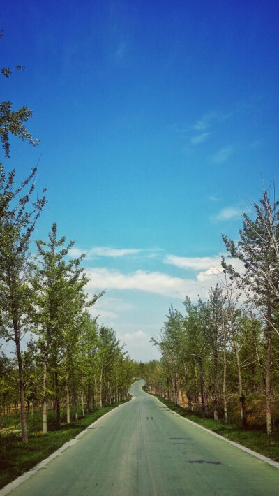 像美国的一条公路