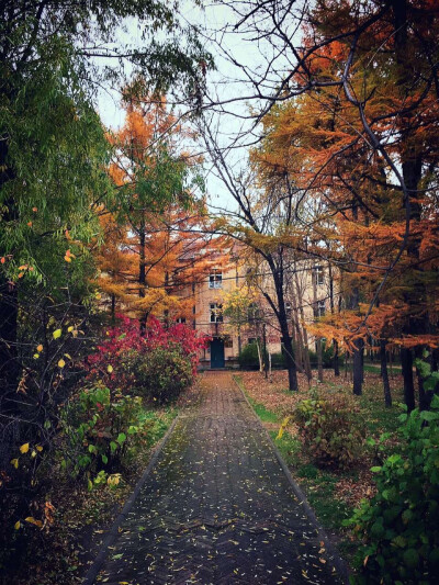 童话故事里一样的地方