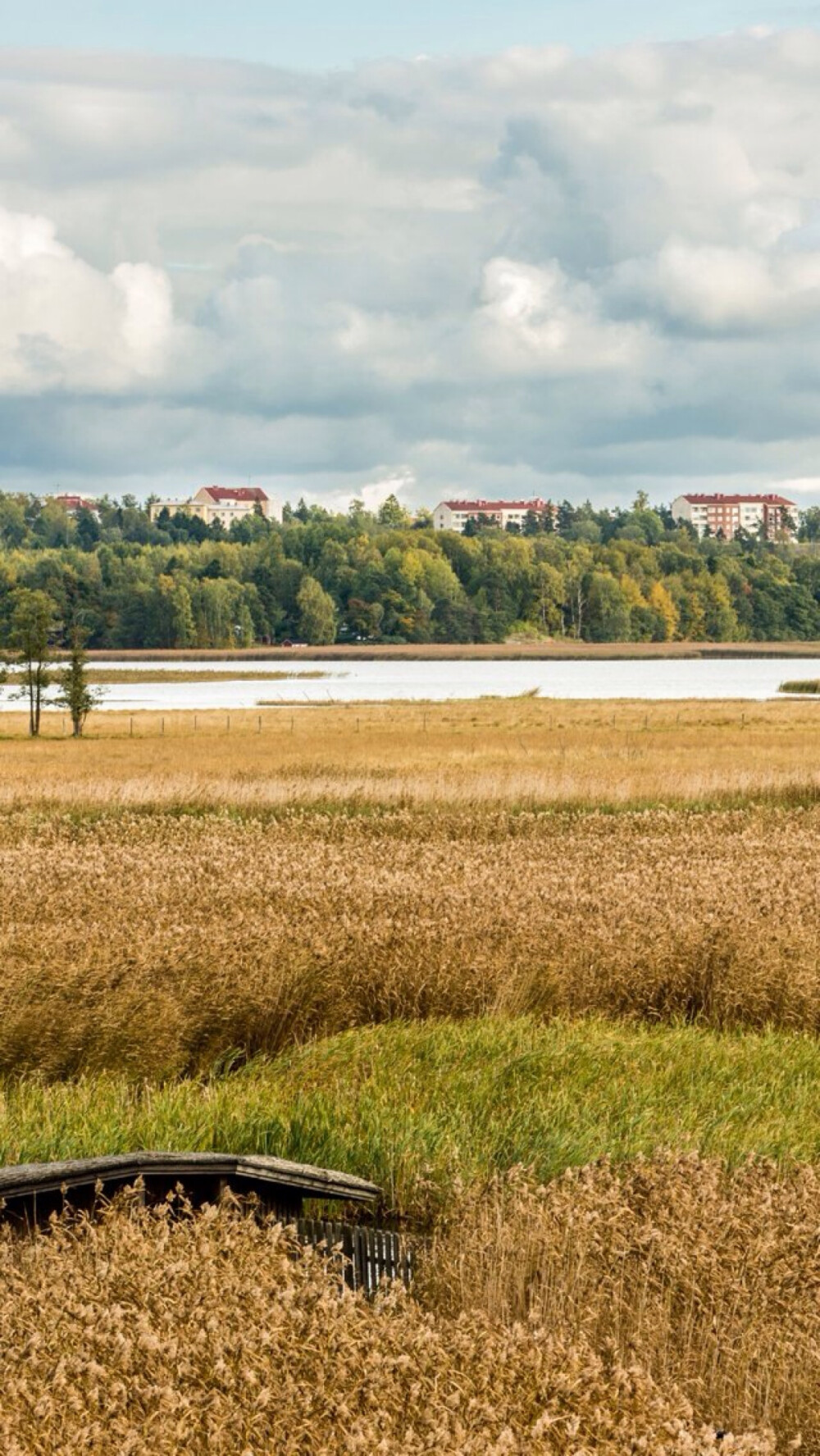 Helsinki•芬兰