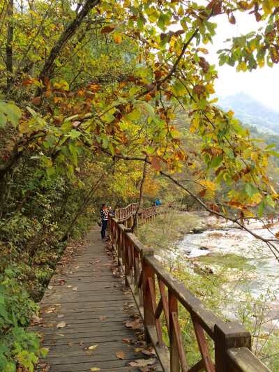 秦岭 黄柏塬 秋景