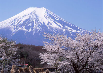 日本富士山