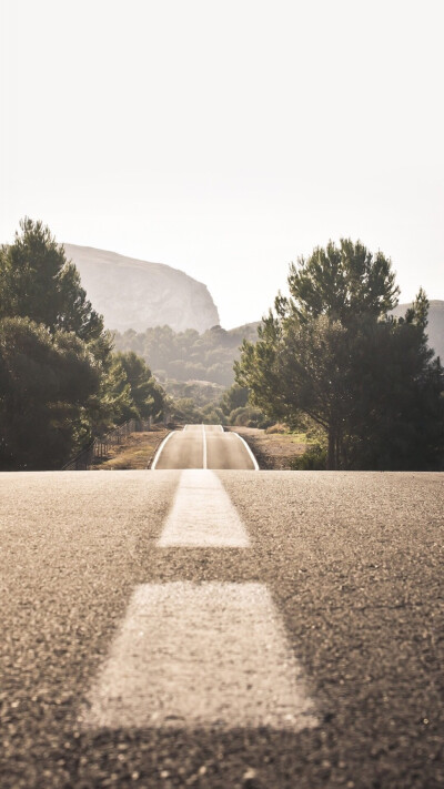 风景 路