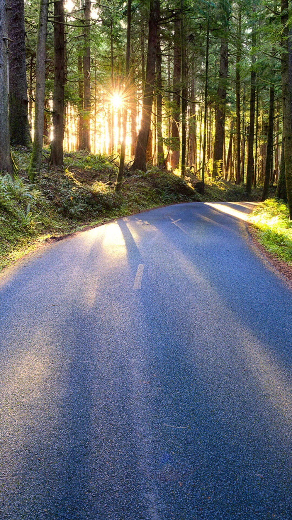 天空 公路