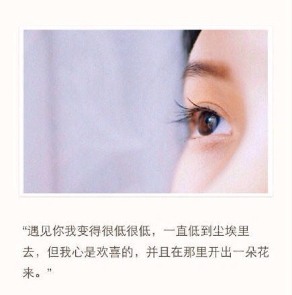 #美图#文字#语录#心情#暗恋#情感#唯美#青春#心语#情话#虐心话#
