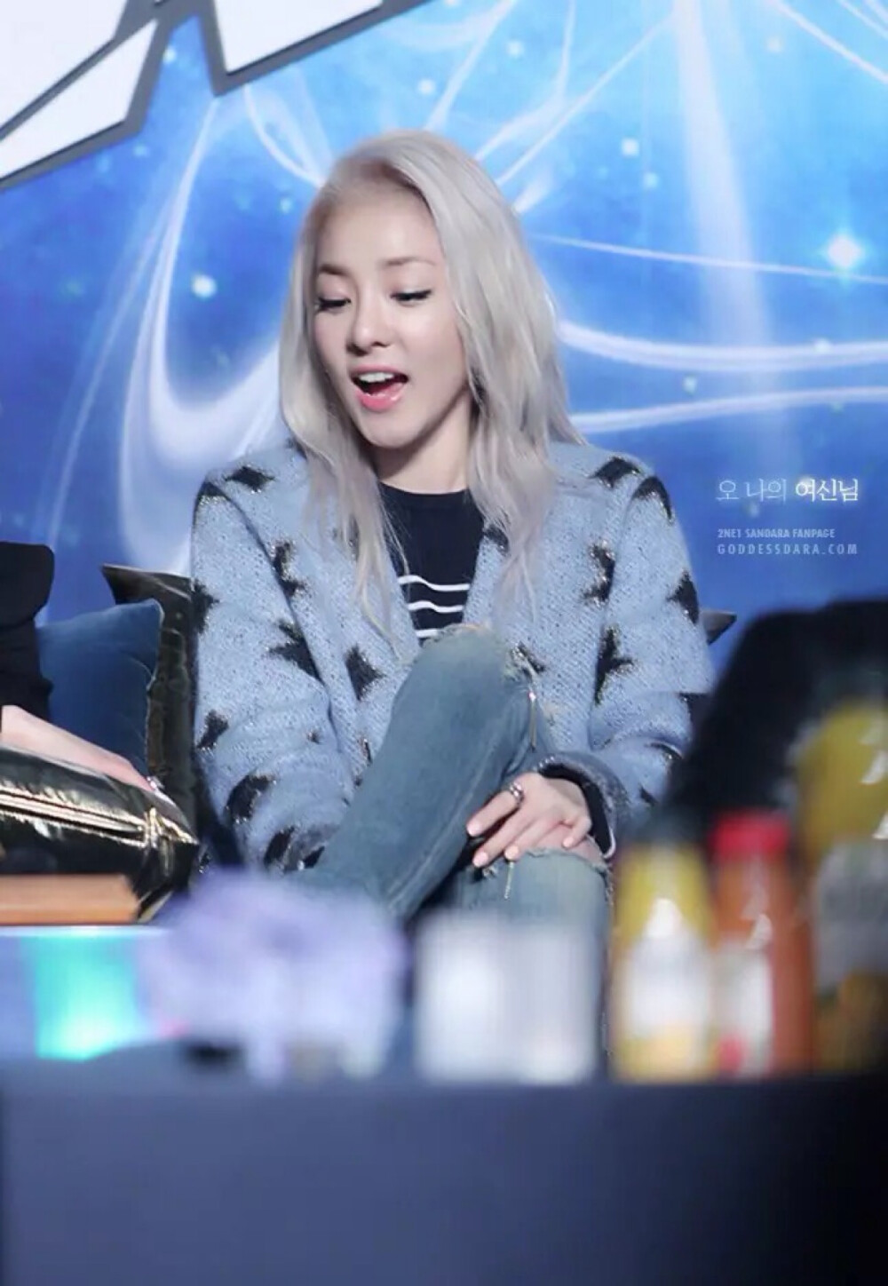 2ne1 Sandara 山兔子