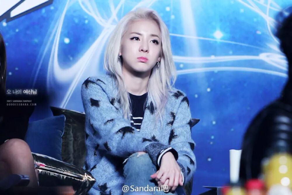 2ne1 Sandara 山兔子