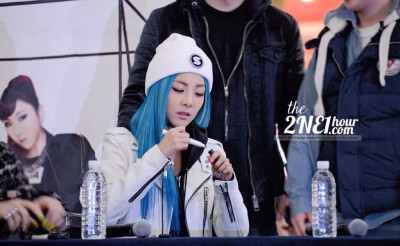 2ne1 Sandara 山兔子