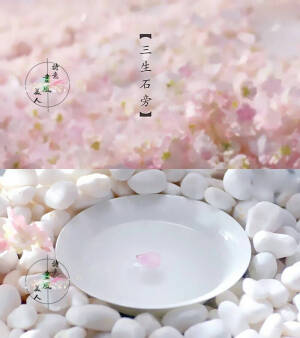 花千骨    落花时节又逢君