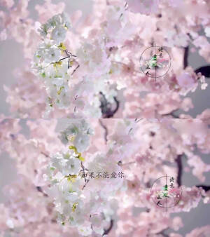 花千骨   落花时节又逢君